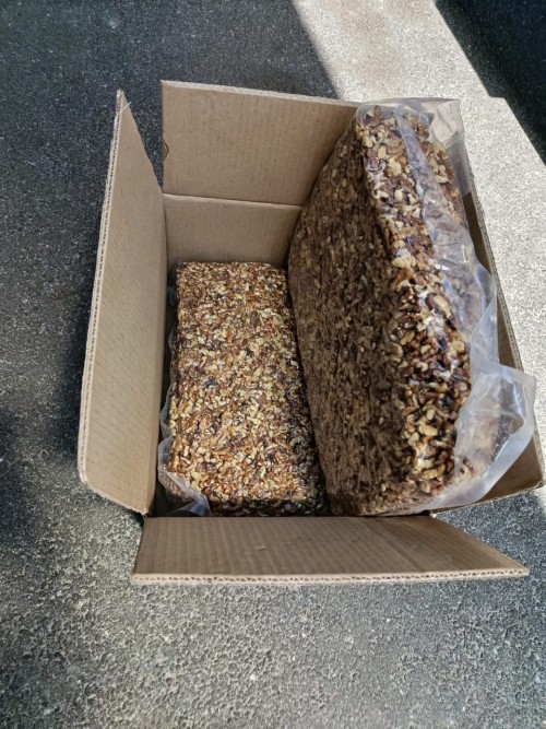 Certified Organic Walnuts (In Shell) – Export from Ukraine