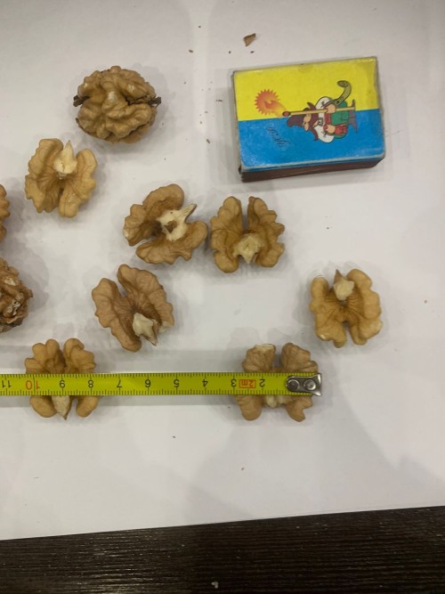Premium Quality Walnuts from Ukraine